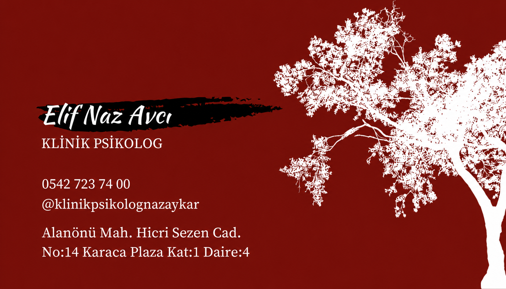 Klinik Psikolog Elif Naz Avcı klinik fotoğrafı